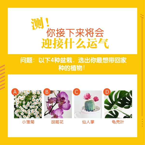 心理测验｜即将迎接桃花运还是倒霉运呢？赶快来测一下！ 更多热点 图1张
