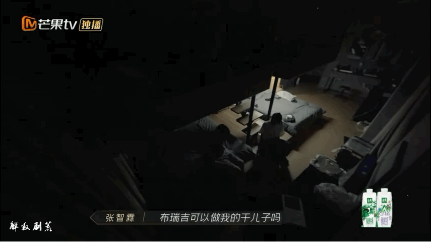 张智霖大赞布瑞吉聪明懂事！ 突“爸爸粉”上身：想收他当干儿子 娱乐资讯 图2张