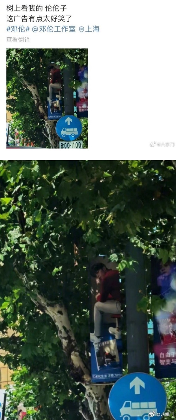 粉丝曝在树上看到邓伦！网友狂喊：快下来不安全！ 娱乐资讯 图2张