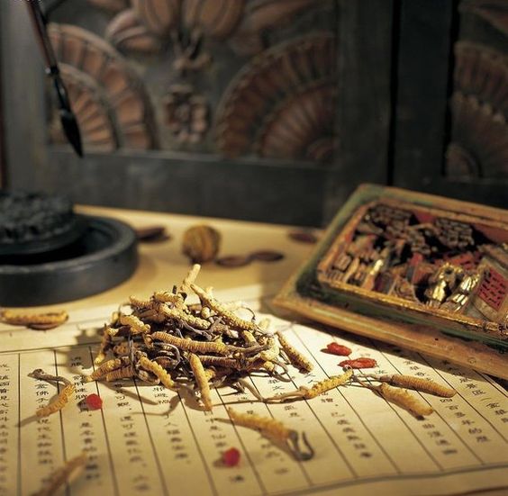 Tips I 生活中10个防铅害的方法，避免鲜艳餐具、廉价玩具、中药安全性等等 更多热点 图7张