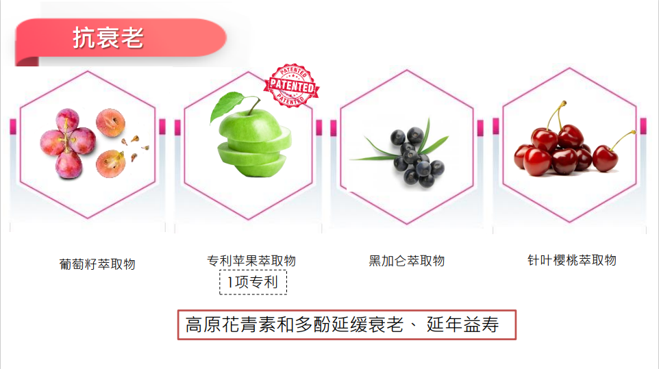 《仨心友行2》为结婚42年老夫妻补拍婚纱照！姚子羚：自己会不会有这么一天呢？ 娱乐资讯 图7张