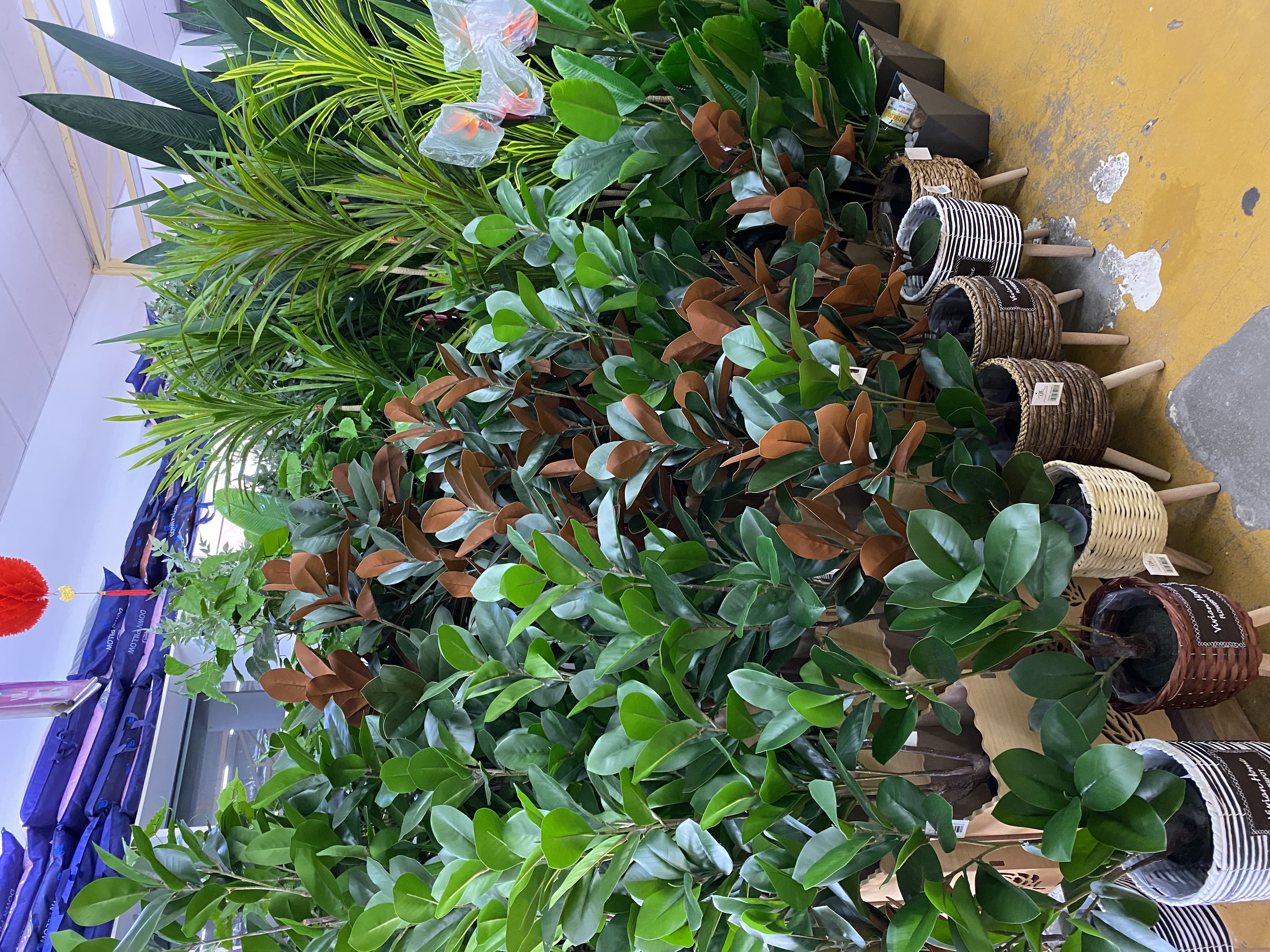 生活 | 为什么要去GM Klang，4大理由看这里，2,500间店应有尽有 更多热点 图6张