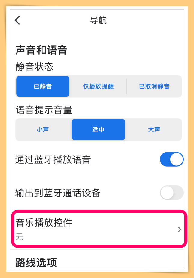 Tips I 驾车走错方向生气气！Google Maps让你边导航边听歌舒缓心情！ 更多热点 图6张