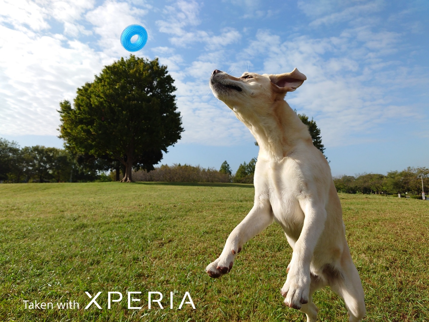 Sony 发表微单手机‘ Xperia PRO-I ’预计年底正式推出！同场加映：Xperia 1 III 推出新色‘ 消光绿 ’ 数码科技 图3张