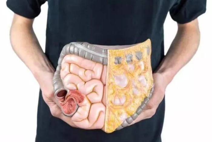 Tips｜以为瘦下就算？你看不见的内脏脂肪才是大魔王！ 更多热点 图1张