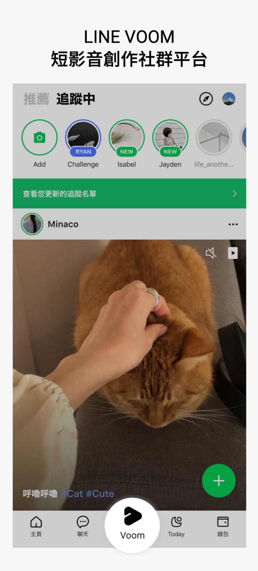 LINE 贴文串掰掰！将升级为全新短影音平台‘ LINE VOOM ’，预计在年底前登场 数码科技 图2张