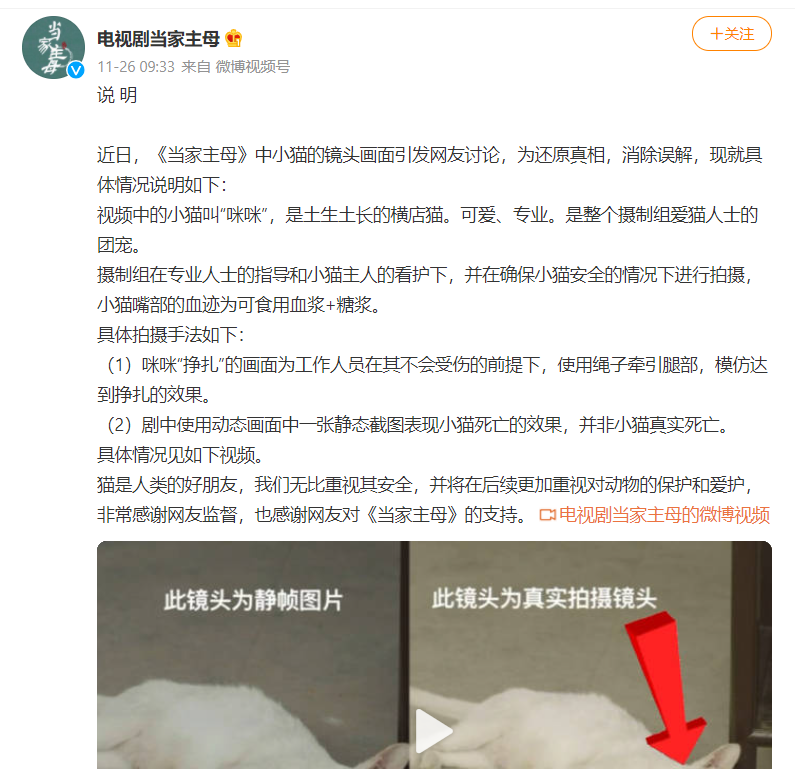 于正《当家主母》被质疑毒死真猫！ 剧组火速晒花絮澄清...却被揪出更多疑点 娱乐资讯 图2张