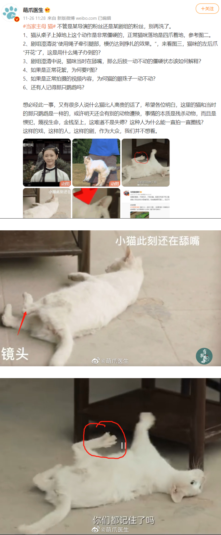 于正《当家主母》被质疑毒死真猫！ 剧组火速晒花絮澄清...却被揪出更多疑点 娱乐资讯 图3张