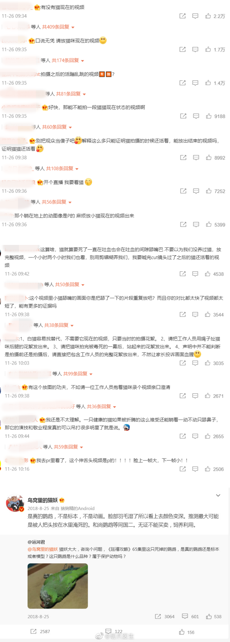 于正《当家主母》被质疑毒死真猫！ 剧组火速晒花絮澄清...却被揪出更多疑点 娱乐资讯 图4张