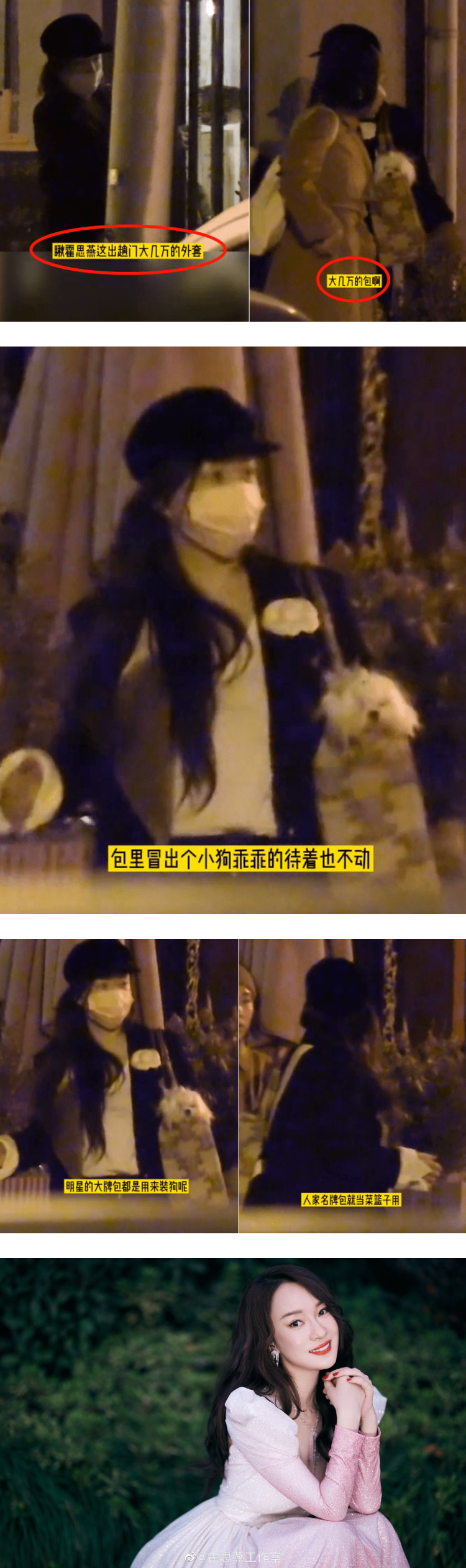 霸气的土豪行为！ 霍思燕上万元名牌包装小狗...网惊：爱狗还是炫富？ 娱乐资讯 图2张
