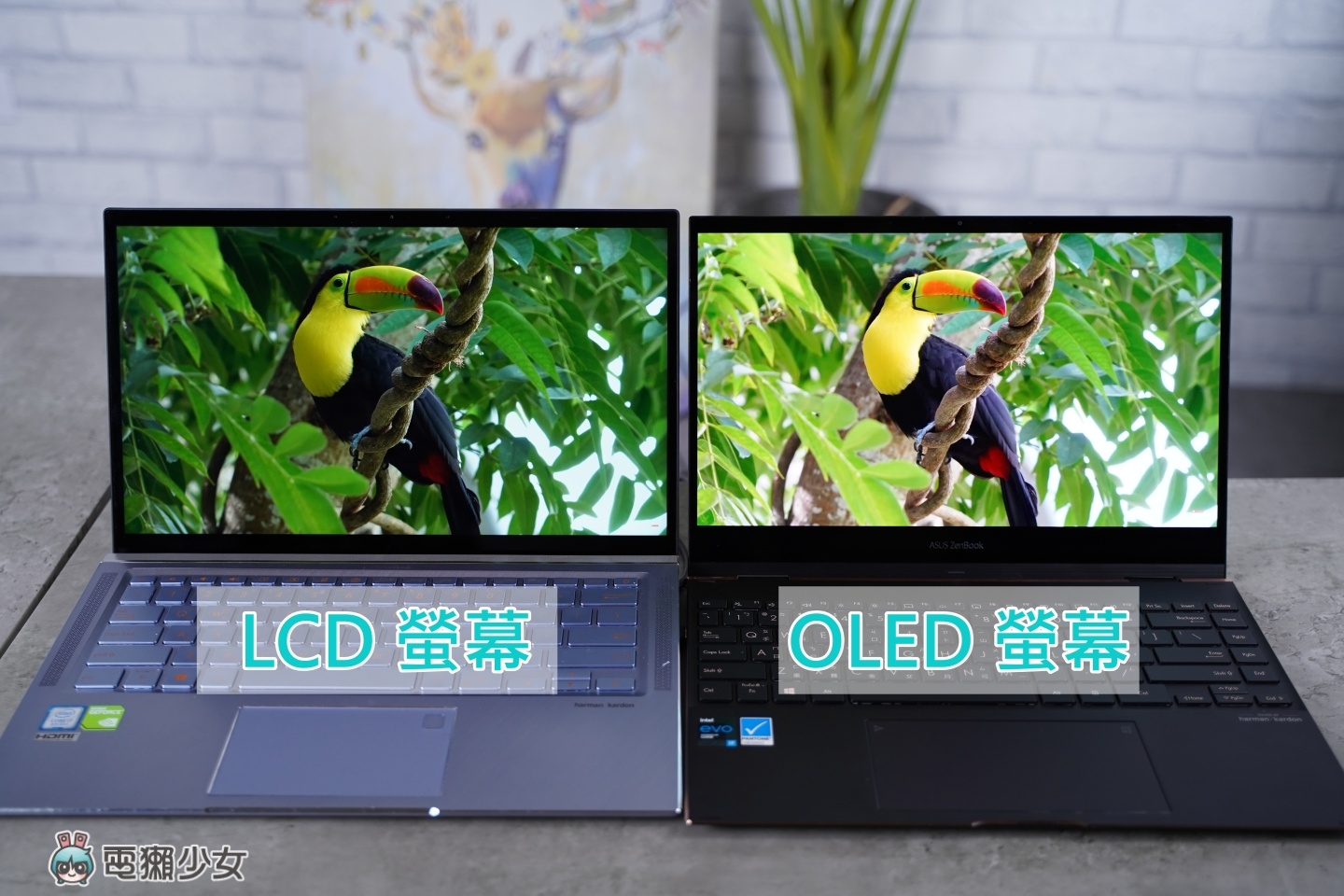 OLED 萤幕笔电优在哪？色彩精准又护眼！用过回不去 数码科技 图4张