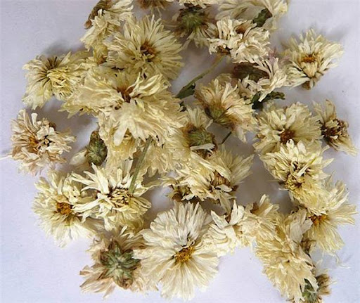 Tips I 上火时要喝菊花茶？不同菊花有不同功效，赌你不懂！ 更多热点 图4张
