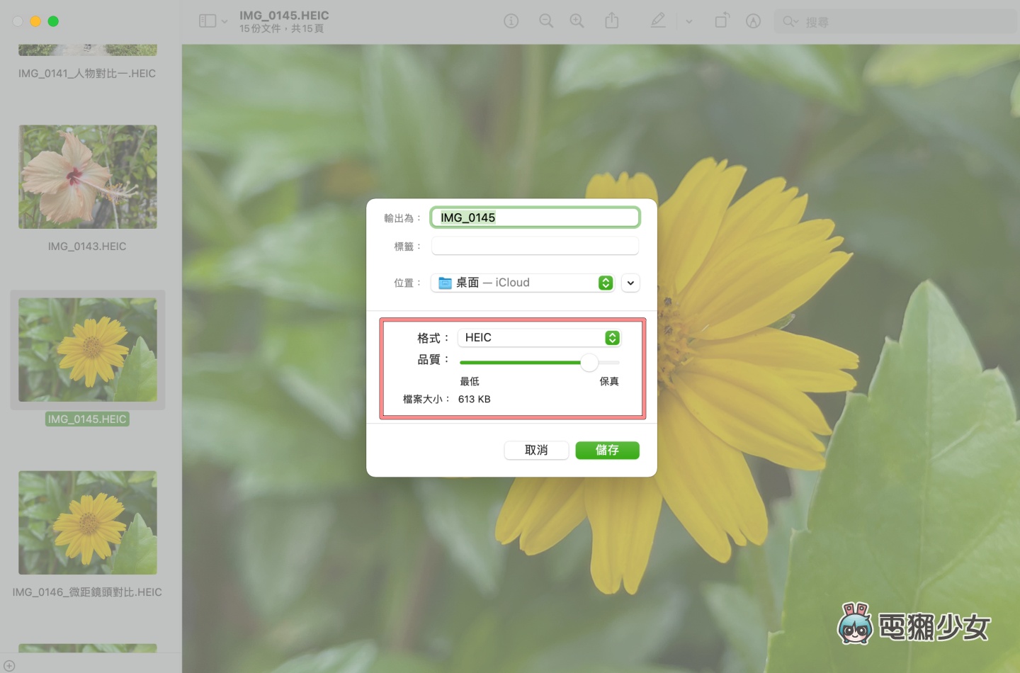 教学｜转档超方便！教你用 Mac 把照片输出为 JEPG、PDF 等多种格式 数码科技 图4张