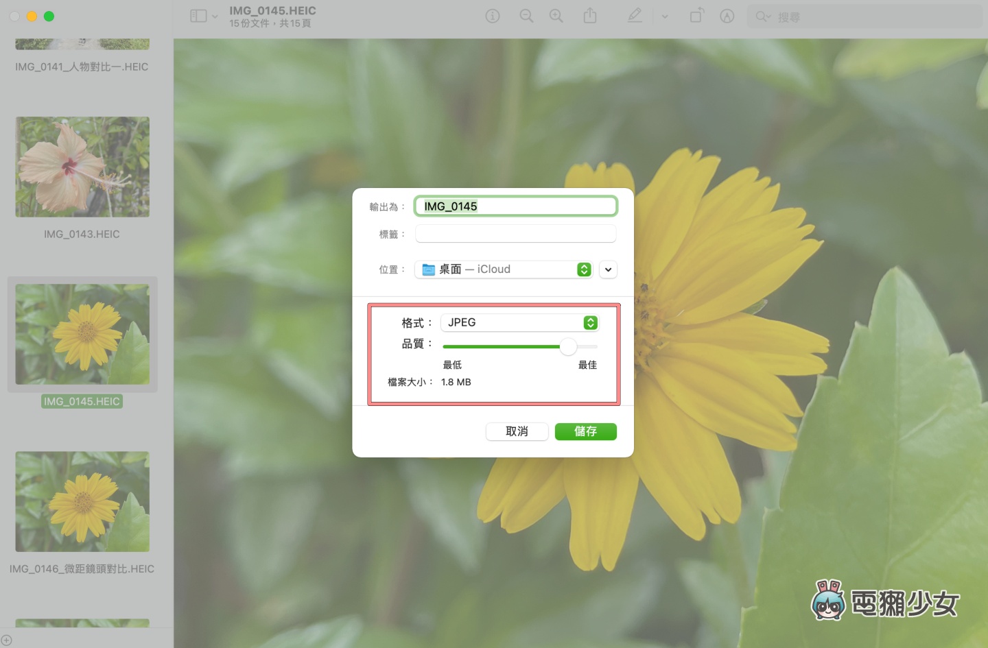 教学｜转档超方便！教你用 Mac 把照片输出为 JEPG、PDF 等多种格式 数码科技 图5张