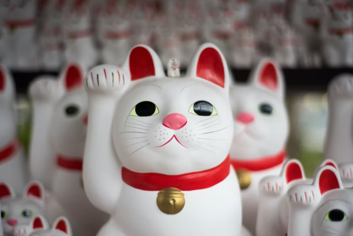 生活｜招财猫别乱买乱放，原来左右手招的东西都不同！ 更多热点 图3张