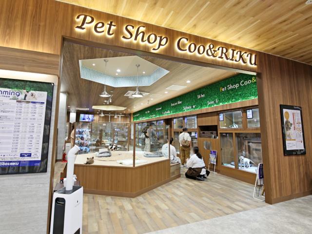 News I 20/1即将开业！率先看KL全新购物公园 LaLaport入驻的那些全马首家门店 更多热点 图8张