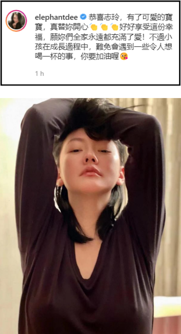 小S恭喜林志玲当妈 却配“坚挺上围”自拍 ！网调侃：激凸喂奶？ 娱乐资讯 图2张