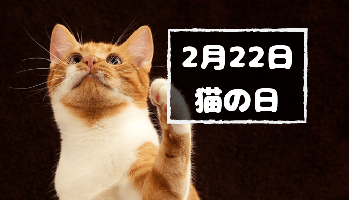 科普 I 2月22日是日本“猫之日”，原因是222的日文发音像猫咪叫声？ 更多热点 图1张