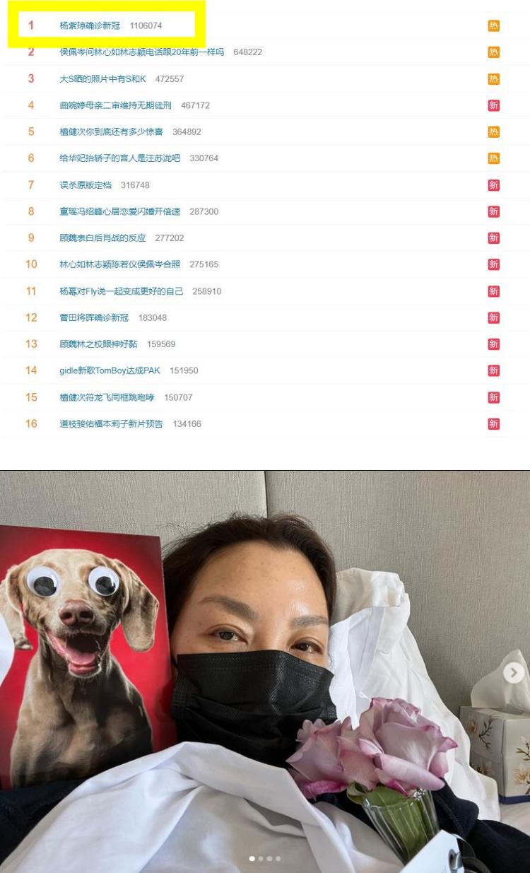 杨紫琼确诊新冠肺炎登热搜！ 马来西亚网友认错人：以为是杨紫 娱乐资讯 图1张