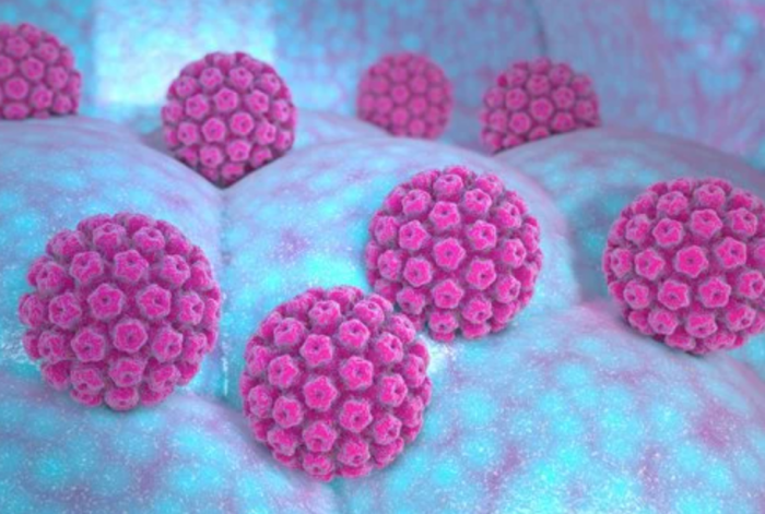 健康｜80%的人都会感染HPV，月经不规律、白带异常都是病毒信号！ 更多热点 图1张