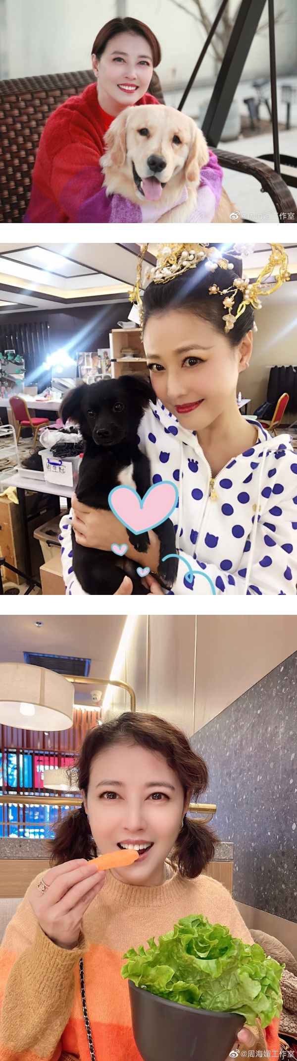 55岁周海媚穿紧身旗袍！曝肚腩、“拜拜肉” 挨批：严重发福 娱乐资讯 图3张