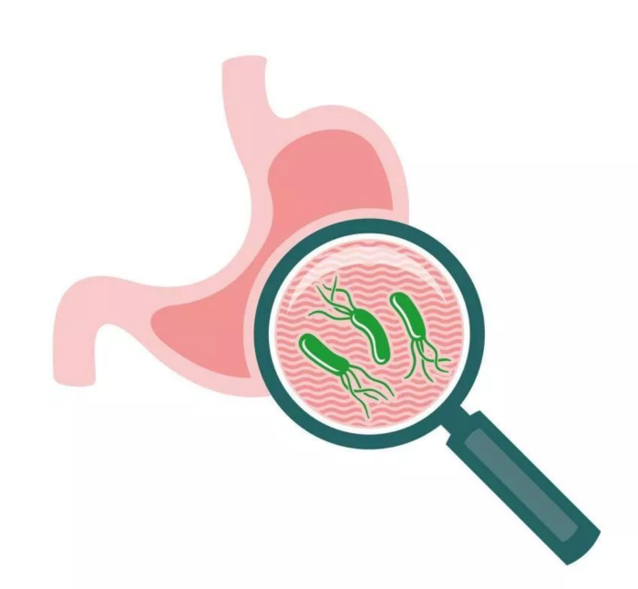 Tips｜口臭、湿疹、长期腹痛好不了？你可能感染了幽门螺杆菌！ 更多热点 图1张