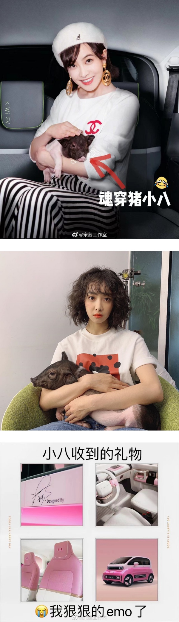 盘点马来西亚艺人的宠物！马嘉祺柴犬“六斤”撞脸主人 程潇养蟑螂... 娱乐资讯 图4张