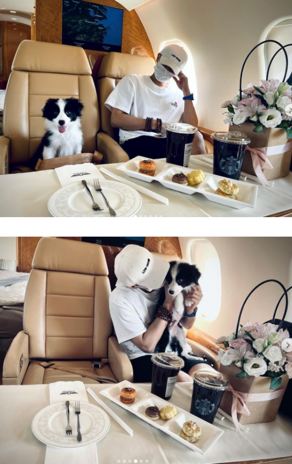 盘点马来西亚艺人的宠物！马嘉祺柴犬“六斤”撞脸主人 程潇养蟑螂... 娱乐资讯 图5张