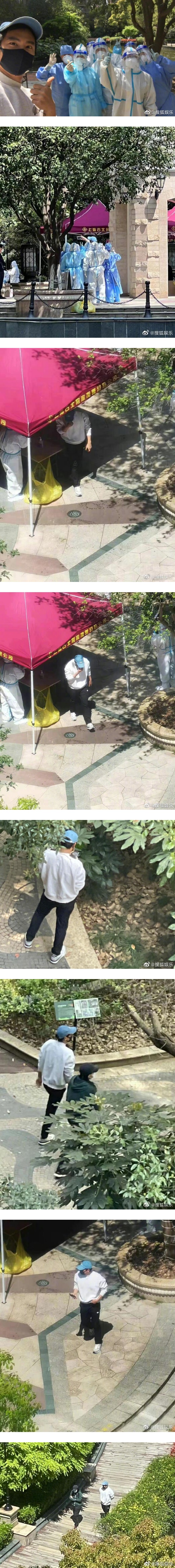 彭于晏现身上海做志愿者？做PCR 全程“被直播” 娱乐资讯 图1张