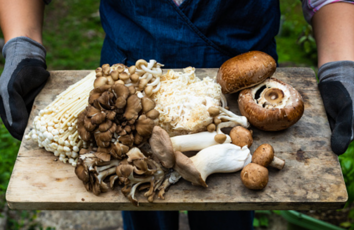 生活｜吃菇类、芦笋会让私处和尿尿臭臭的？5种让尿液有味道的食物要注意 更多热点 图4张