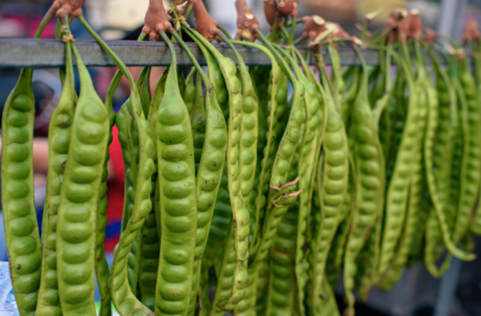 生活｜吃菇类、芦笋会让私处和尿尿臭臭的？5种让尿液有味道的食物要注意 更多热点 图5张
