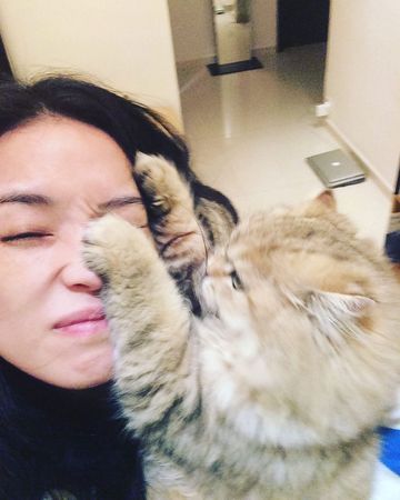 惊险画面！舒淇遭爱猫伸爪袭击...揪着整个鼻梁 娱乐资讯 图1张