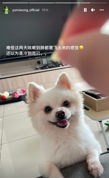 Yumi黄诗棋确诊！狂咳嗽2天...飞行前做PCR才发现 娱乐资讯 图2张