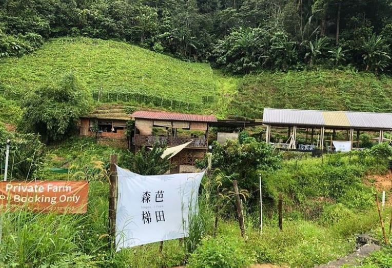 旅行 I 长假露营去！雪隆周边6个适合新手的好评营地 更多热点 图10张