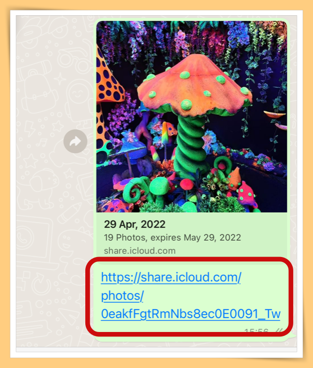 Tips I iPhone和Android也能成为好朋友！教你一招完美传送照片！ 更多热点 图7张