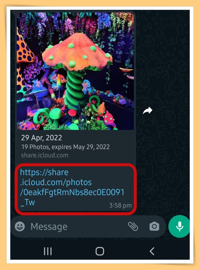 Tips I iPhone和Android也能成为好朋友！教你一招完美传送照片！ 更多热点 图8张