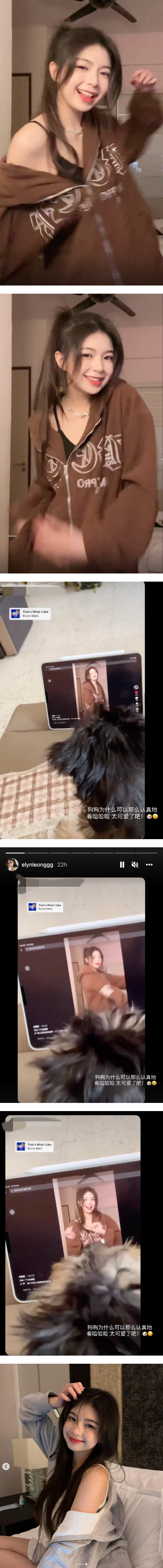 “抖音女神”Elyn Leong 红到动物界！热舞影片引起狗狗疯狂 跟随摆动 娱乐资讯 图2张