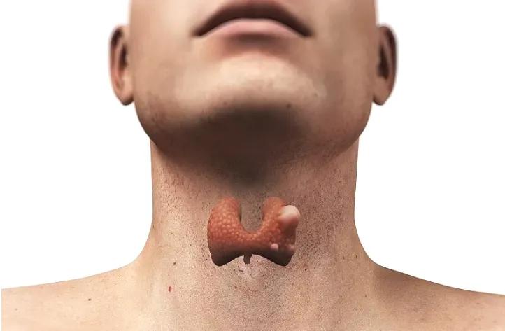 健康 I 肥胖竟会致癌？6种最爱找上胖子的癌症 更多热点 图6张