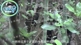 鞠婧祎《仙剑奇侠传四》剧组出包！ 将代拍绑树上 掀骂战 娱乐资讯 图1张