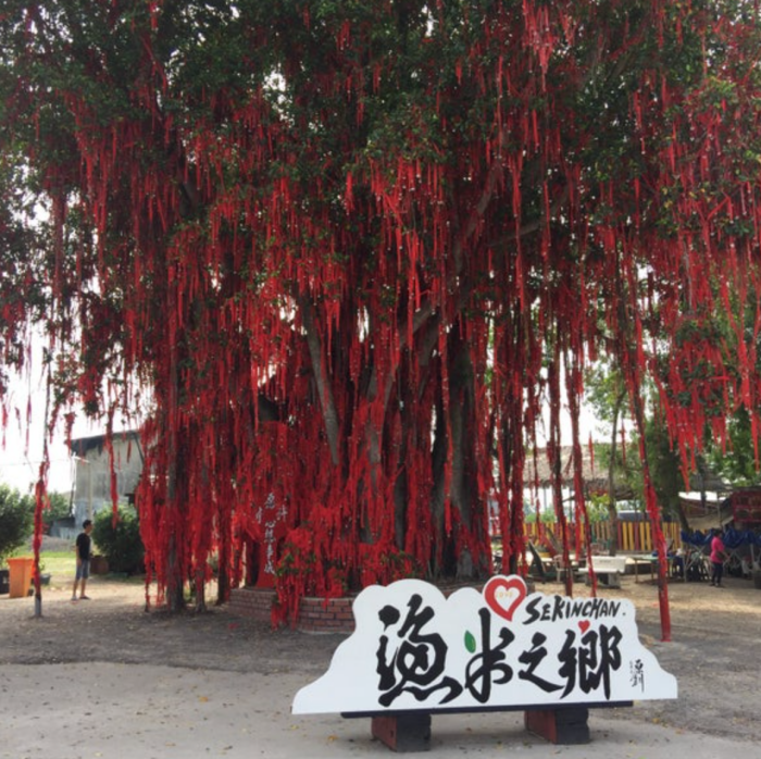 旅游｜有愿就来诚信许吧！盘点马来西亚著名5大许愿树！ 更多热点 图2张