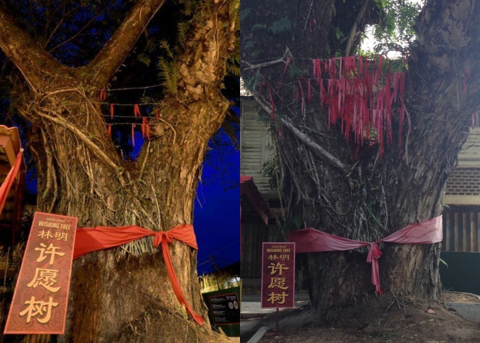 旅游｜有愿就来诚信许吧！盘点马来西亚著名5大许愿树！ 更多热点 图3张