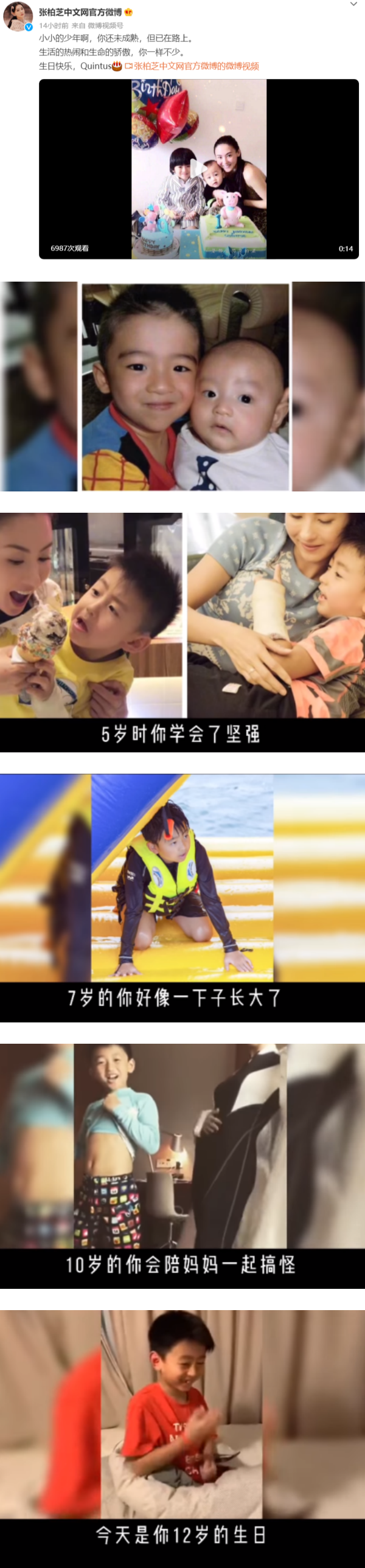 张柏芝公开Quintus 1到12岁照片！网赞：从小帅到大 娱乐资讯 图1张