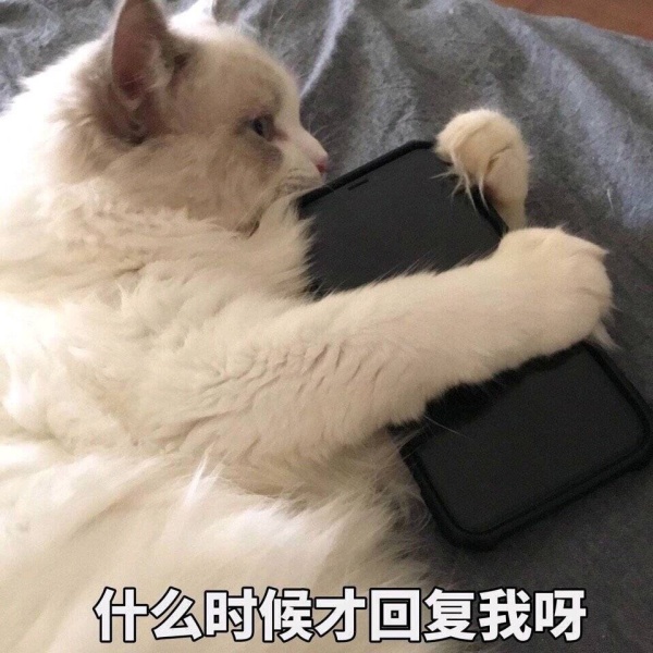 【小编说】网传“浪漫过敏症”...你有中招吗？（by 叽喳小妹） 娱乐资讯 图4张