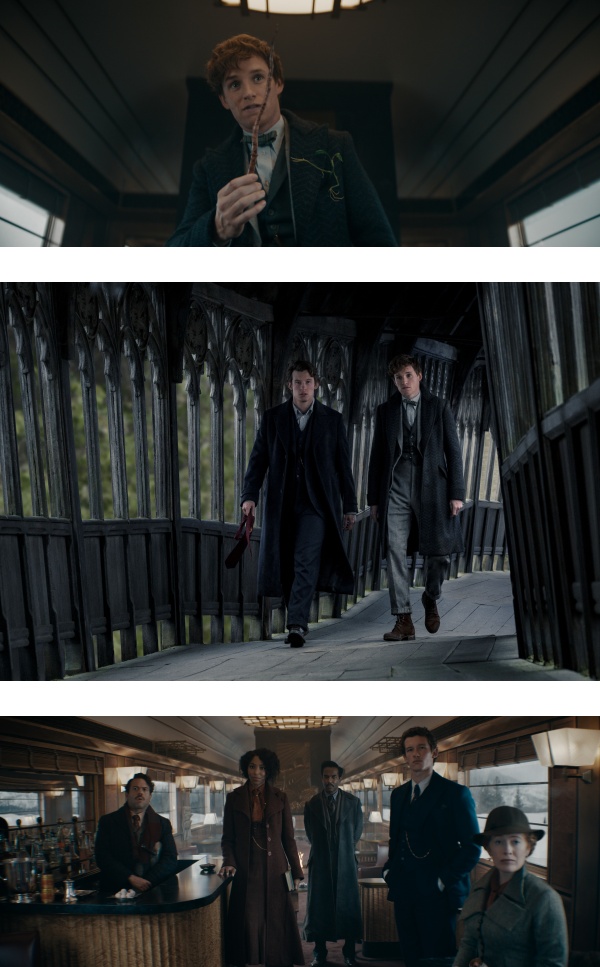 魔法迷看这里！线上看《FANTASTIC BEASTS: THE SECRETS OF DUMBLEDORE》 娱乐资讯 图1张