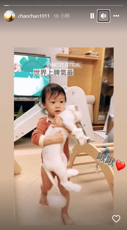 许孟哲女儿“颠倒抱猫”画面曝光！让人大开眼界！ 娱乐资讯 图2张