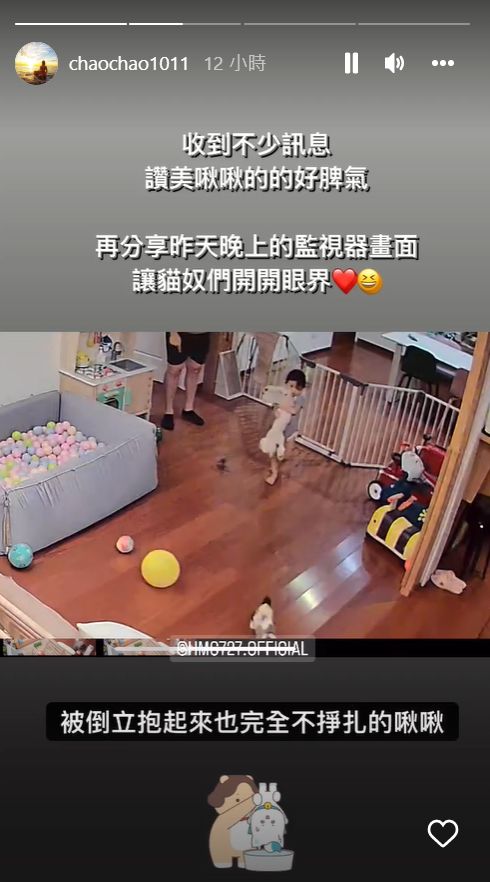 许孟哲女儿“颠倒抱猫”画面曝光！让人大开眼界！ 娱乐资讯 图3张