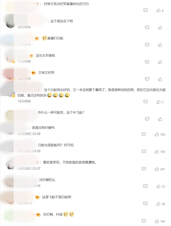 王婉霏被大水蚁钻进衣服！刘畊宏万人直播前帮她抓 娱乐资讯 图3张