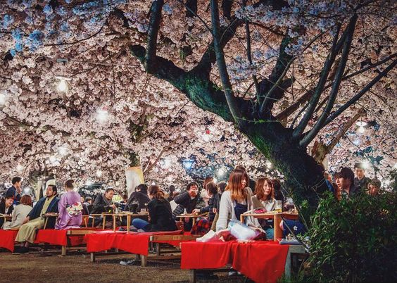 News I 体验日本文化庆典！Nihon Matsuri 2022 日本吃喝玩乐活动七月登场 更多热点 图2张