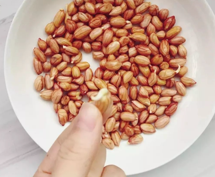 健康｜发芽的蔬菜都有毒？未必！至少这5种还能接着吃！ 更多热点 图7张