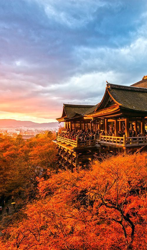 旅游 I 全球10大必去的寺庙！马来西亚槟城这间寺庙也上榜 更多热点 图8张